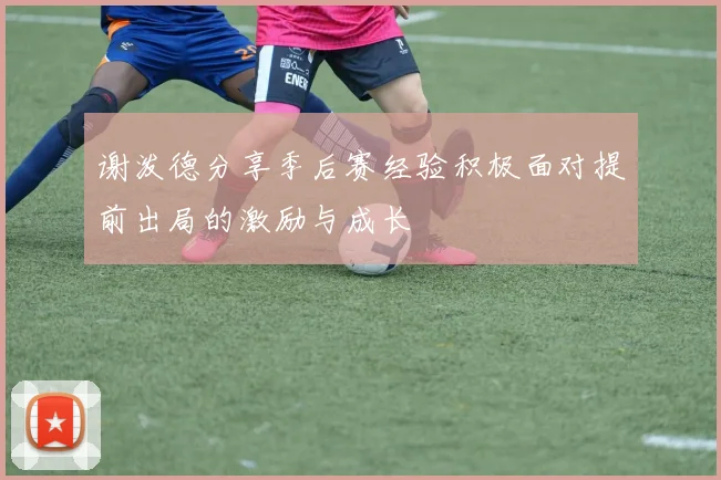谢泼德分享季后赛经验积极面对提前出局的激励与成长