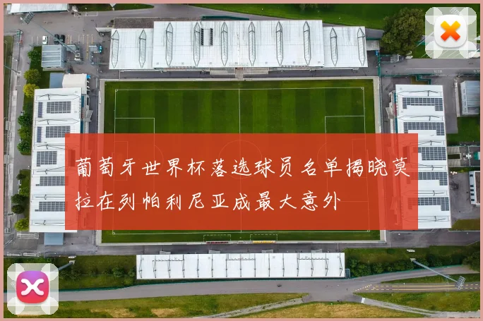 葡萄牙世界杯落选球员名单揭晓莫拉在列帕利尼亚成最大意外
