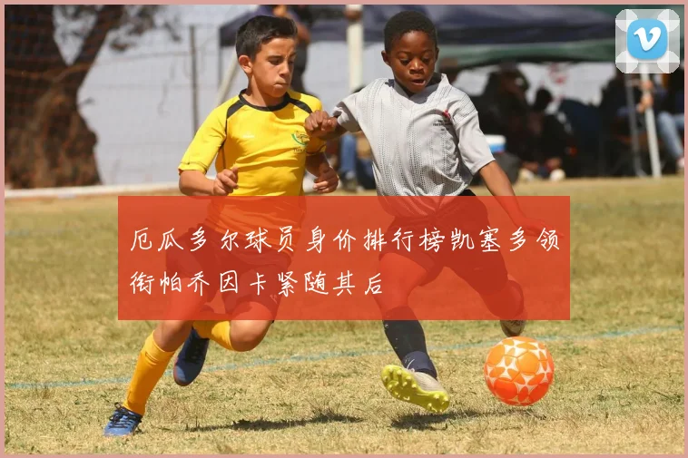 厄瓜多尔球员身价排行榜凯塞多领衔帕乔因卡紧随其后